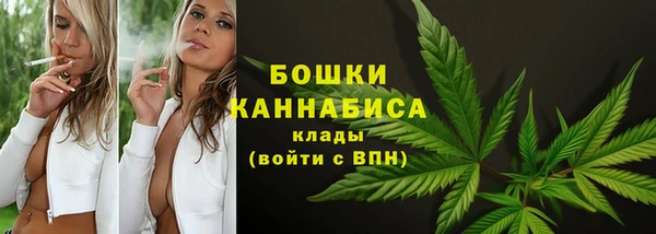 круглые Аркадак