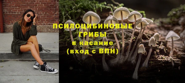 круглые Аркадак