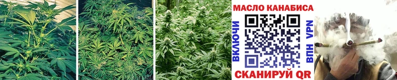 Купить закладки  Суджа  ТГК гашишное масло 